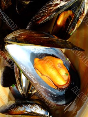 Cooked mussels