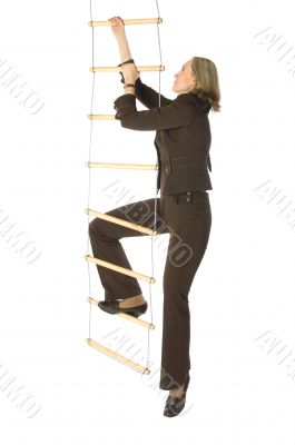 Career ladder