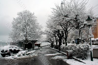 Winters path by lake