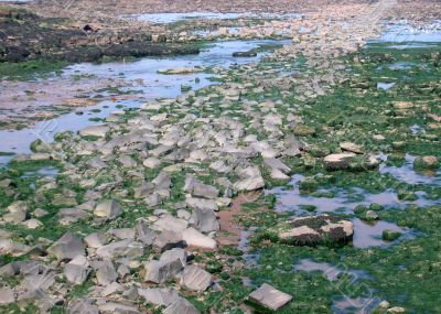 Rocks at low tide