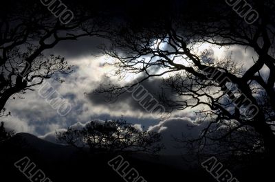 Lake District Night Sky
