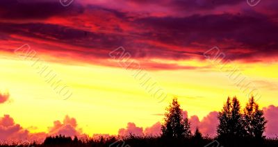 Red evening.
