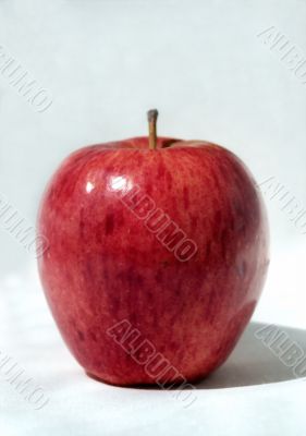 Simply red apple