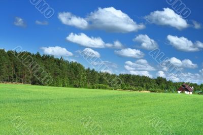 little house in grass field