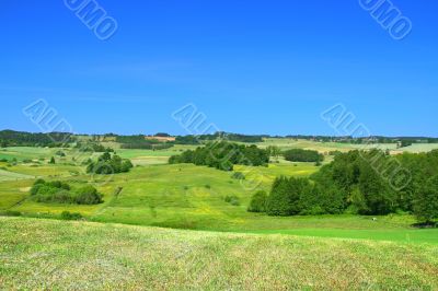 summer landscape with cloudless sky