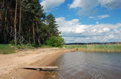 Lake and wood