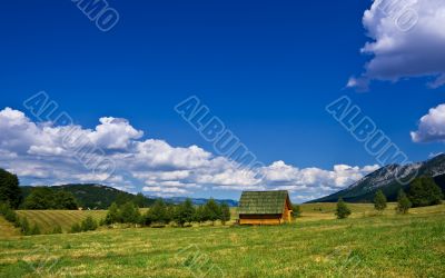 small wooden house