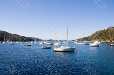 Moored Boats