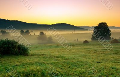 early morning in the village