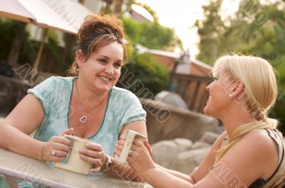 Girlfriends Enjoy A Conversation