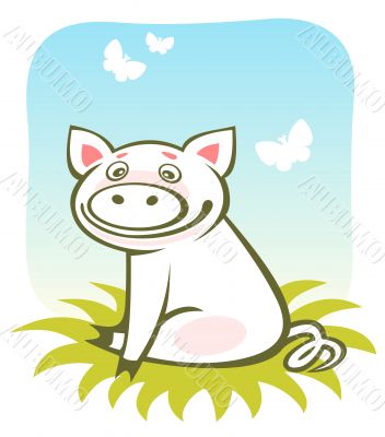 cartoon piggy