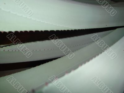 aloe vera, alovera, edge, gray, healing aloe vera, alovera, edge, gray, healing