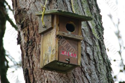 bird home