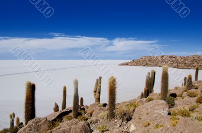 saltplanes of Uyuni