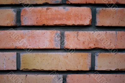 old brick wall