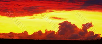 Red dragon. Red dragon.