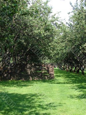 The big apple garden