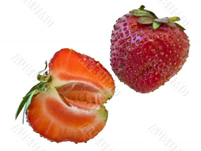 strawberry strawberry