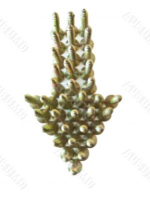screw arrow screw arrow