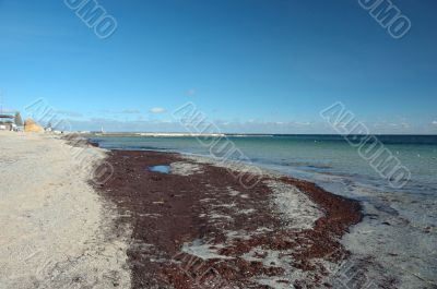 Deserted public beach after great storm