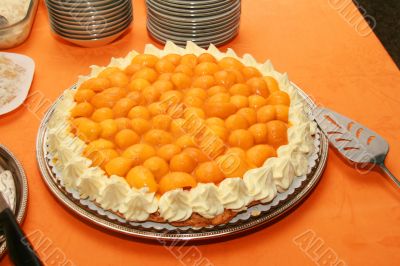 mango torte cake mango torte cake