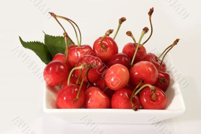 Fresh Cherries