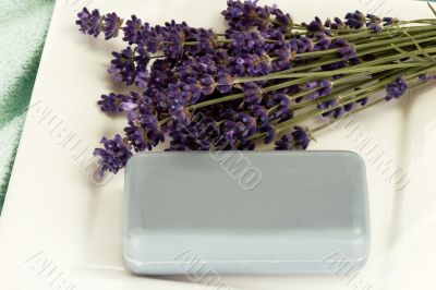 Lavender Soap