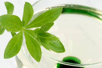Woodruff Wine