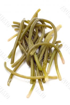 marinade stalk garlic on white