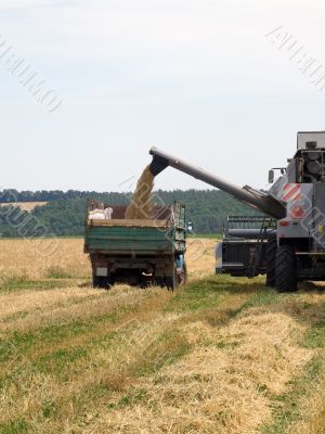 Harvesting