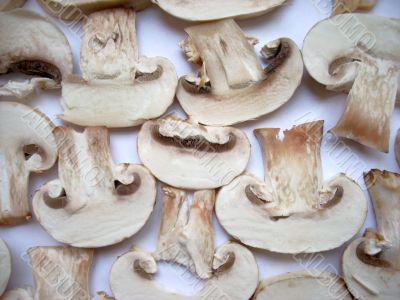 Mushrooms slices background