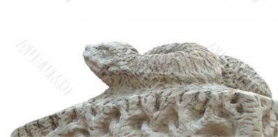head of snake head of snake