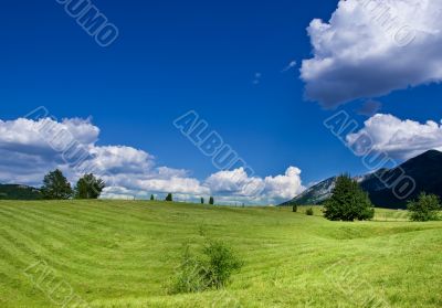 cultivated field over the blue sky