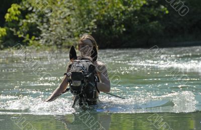 teen and stallion in river