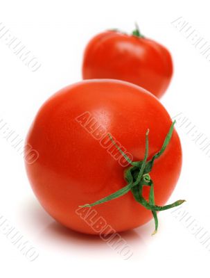 perfect tomato