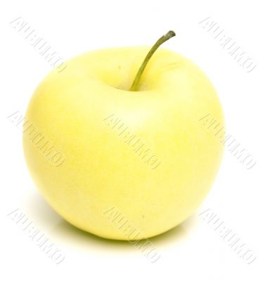 juicy yellow apple