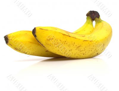ripe bananas