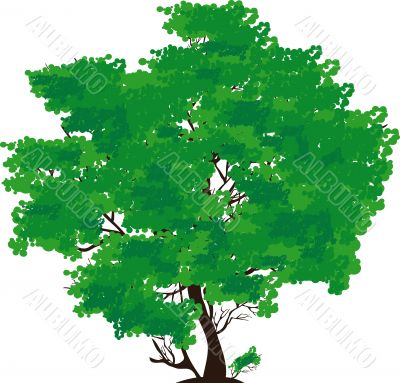 green tree