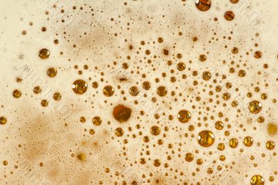 Beer Foam