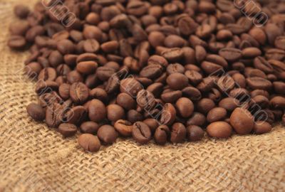 Beans of coffee