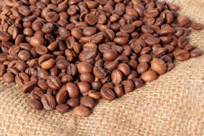 Beans of coffee