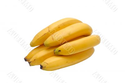 Yellow bananas