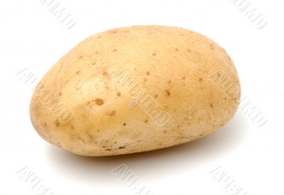 Potato