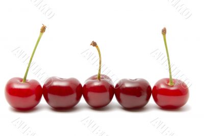 Cherry