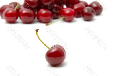 Cherry