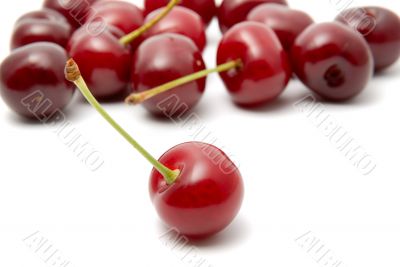 Cherry