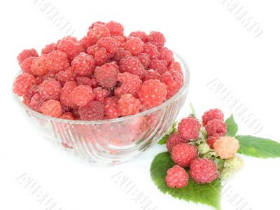 Raspberries