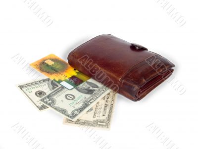 credit card,dollars and wallet