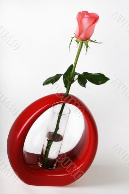 Pink rose in a red vase