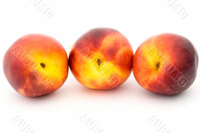 Three nectarines